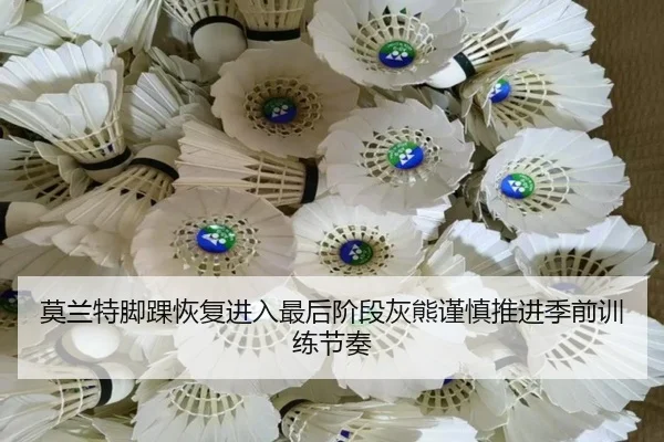 莫兰特脚踝恢复进入最后阶段灰熊谨慎推进季前训练节奏